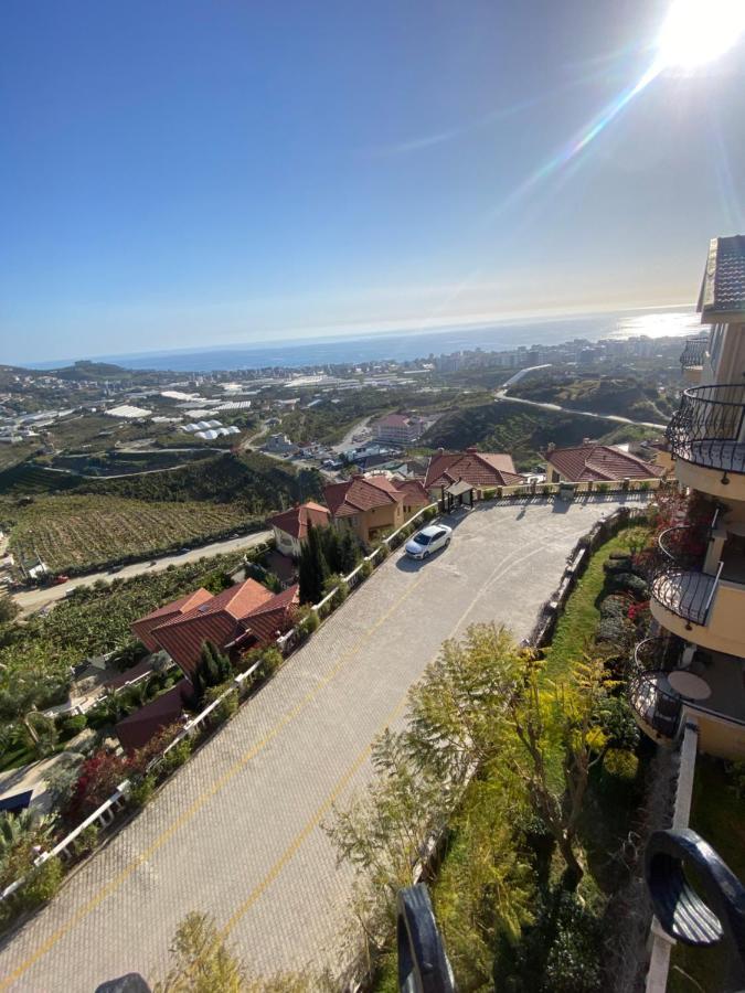 Goldcity Villa 阿拉尼亚 外观 照片